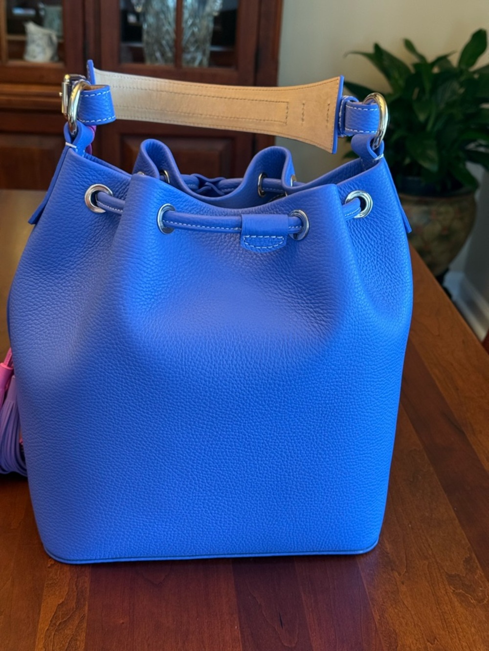 NWOT Dooney & Bourke Lucca Leather Drawstring Bag with Multi-Color Tassels - Picture 4 of 16